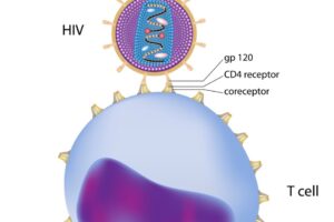 Cd4cell